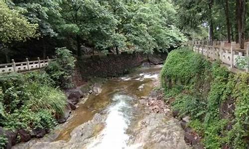 九龙山自然风景区_雷州九龙山自然风景区