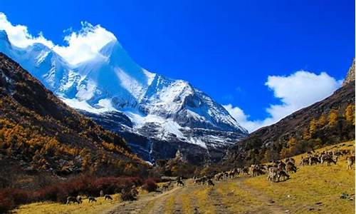 稻城亚丁旅游价格_稻城亚丁旅游价格多少