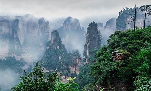 张家界旅游几天_张家界旅游几天比较好