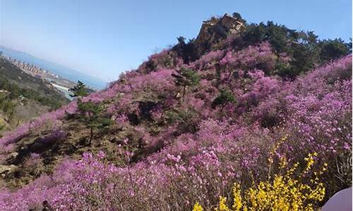 大珠山门票_大珠山门票现在多少钱