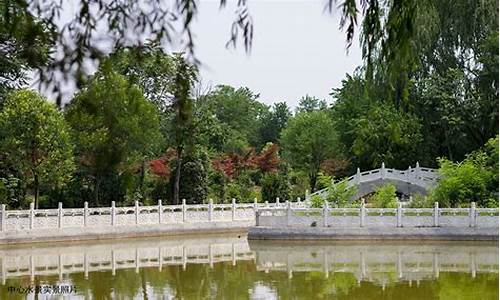 夏津黄河故道森林公园_夏津黄河故道森林公园风景区