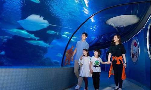 上海水族馆和长风海洋世界哪个好_上海水族馆和长风海洋世界哪个好玩